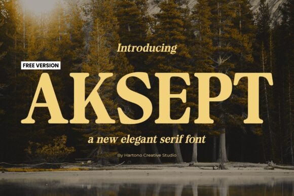 Aksept: A Bold Serif Font That Elevates Web Design