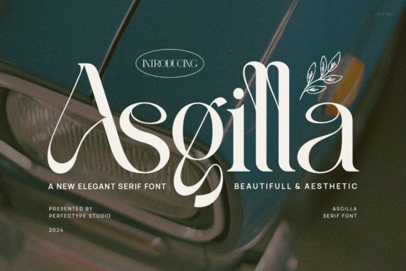 Asgilla: The Serif Font That Elevated Our Campaign Visuals