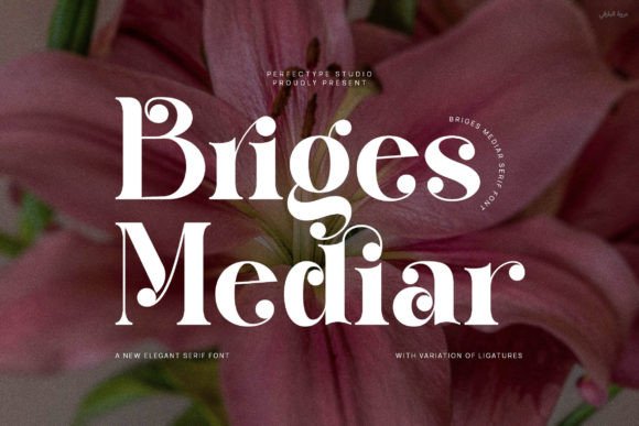 Briges Mediar: Elegant Serif for Branding