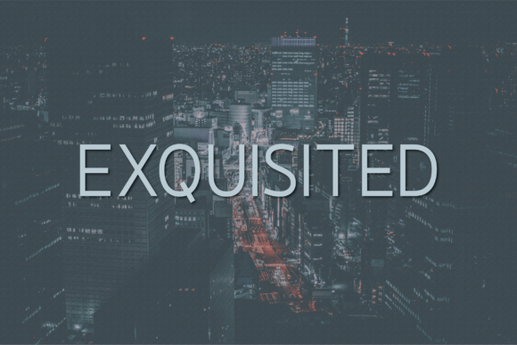 Exquisited: A Clean Sans Serif Font for Small Business Branding That Works
