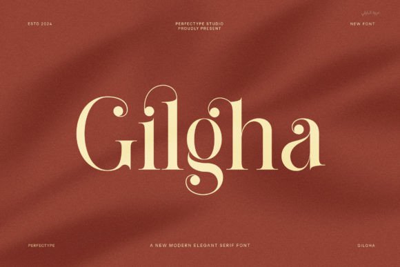 Gilgha Serif Font: Real Results from a Web Design Project