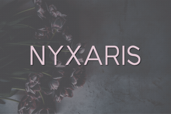 Nyxaris: A Refined Sans Serif Font for Modern Web Design