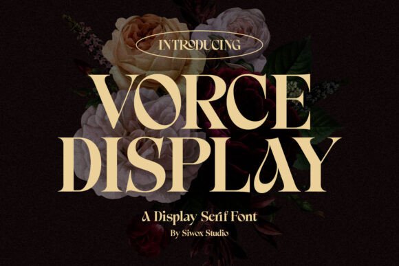 Vorce Display: A Serif Font for Polished Branding