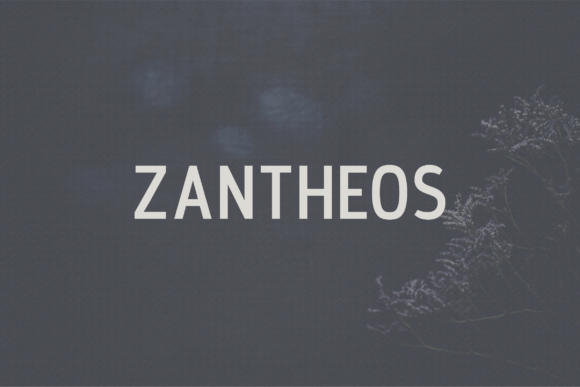 Zantheos: A Web Designer’s Verdict on a Modern Sans Serif Typeface